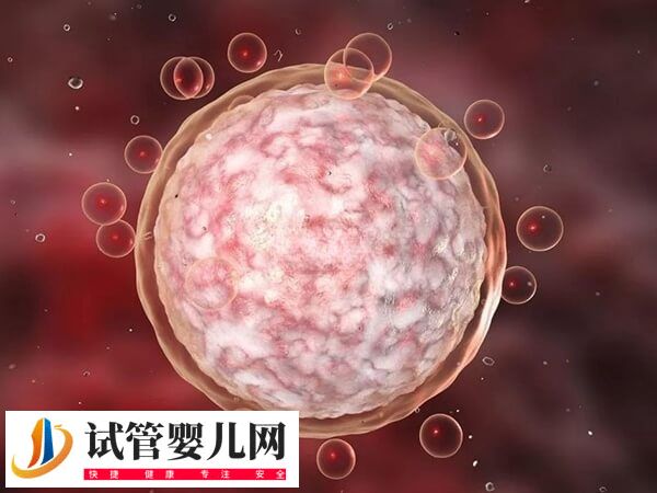 胚胎碎片率30能否移植成功(图2)