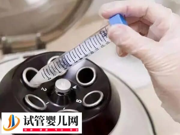 胚胎碎片率30能否移植成功(图3)