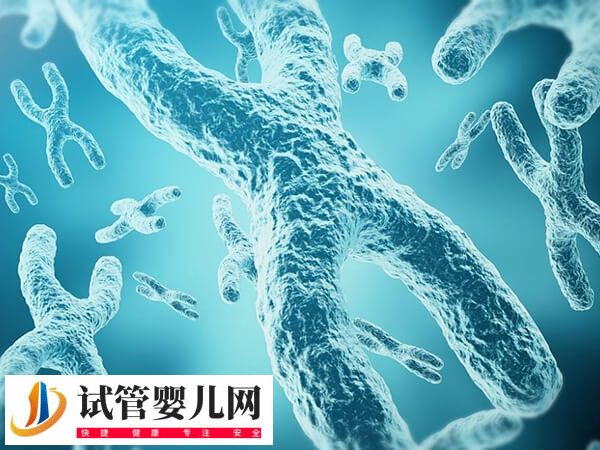 三代试管能不能筛查骨软骨瘤(图1) 三代试管能不能筛查骨软骨瘤(图1)