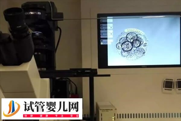 5个受精卵养囊成功2个怎么回事(图1) 5个受精卵养囊成功2个怎么回事(图1)