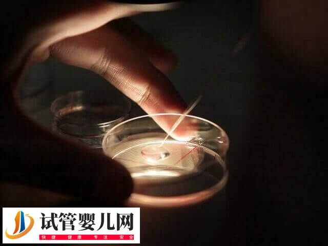 5个受精卵养囊成功2个怎么回事(图2) 5个受精卵养囊成功2个怎么回事(图2)