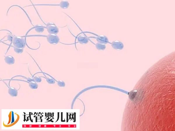 自然周期什么时候移植胚胎好(图1) 自然周期什么时候移植胚胎好(图1)