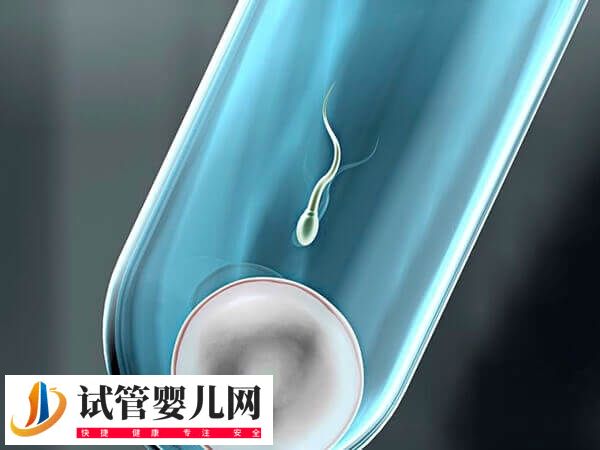 子宫腺肌症移植能否2个鲜胚怀双胎(图1)