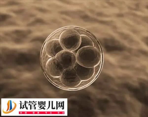 试管婴儿需要取卵几次(图1)