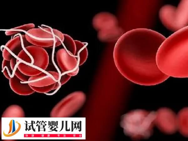 胚胎移植后为何不能一直躺(图1) 胚胎移植后为何不能一直躺(图1)