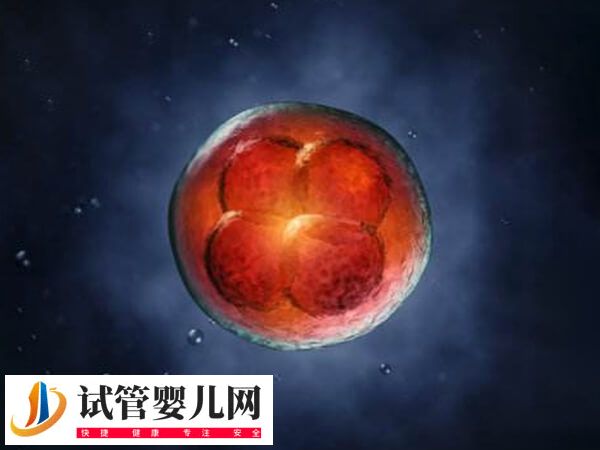为什么试管移植第一次都不着床(图1)