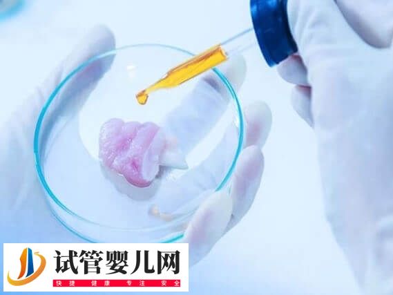 胚胎移植后剩余的胚胎怎么处理(图1)