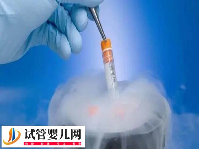 胚胎移植后剩余的胚胎怎么处理(图2)