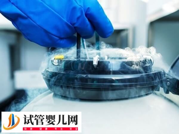 胚胎冷冻可以保存几年(图1)
