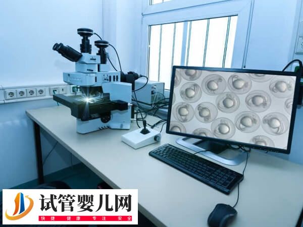 试管婴儿移植前胚胎如何评分(图2)