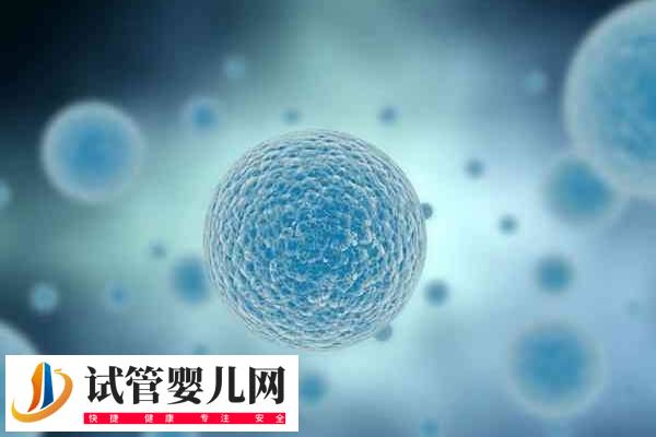 南京鼓楼做试管成功率多高(图2) 南京鼓楼做试管成功率多高(图2)