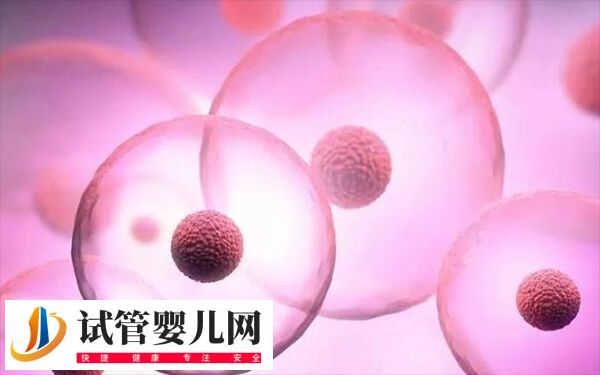 成都做试管婴儿哪家好