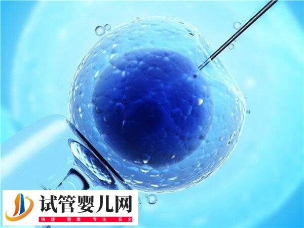 3代试管婴儿能否排除唇腭裂(图1)