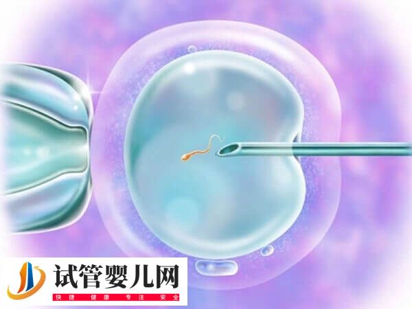 死精弱精要不要做二代试管(图1)