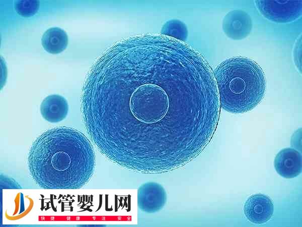 每天打排卵针为什么卵泡会减少(图2) 每天打排卵针为什么卵泡会减少(图2)