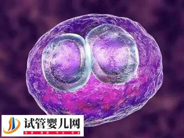 促排当月就移植入子宫好不好