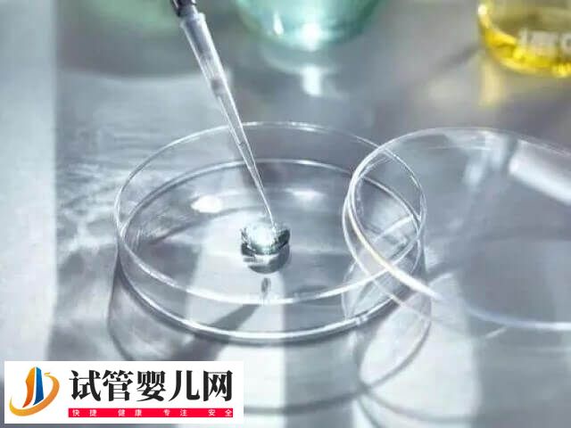 三代试管10万元能否成功