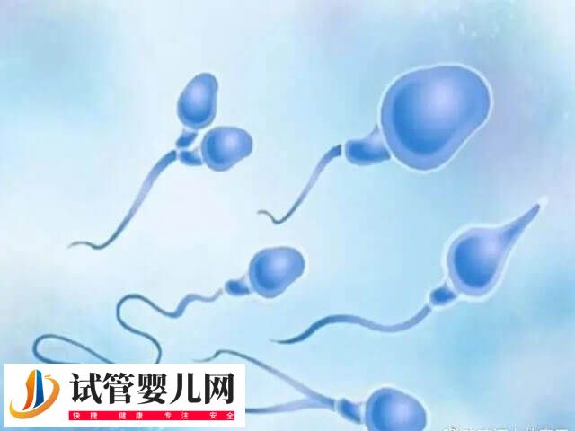 2025年试管婴儿费用大约多少(图2)