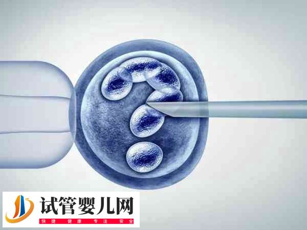 2025年试管婴儿费用大约多少