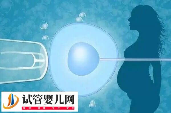2025年试管婴儿费用大约多少(图3)