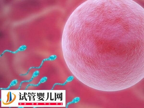 二代试管5aa胚胎质量怎么样