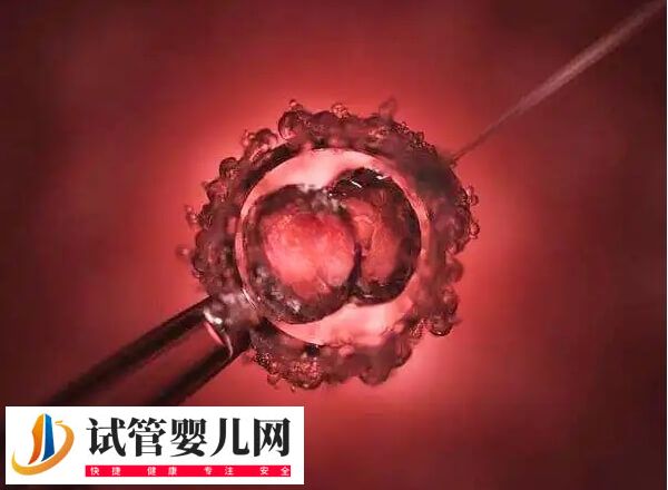 二代试管5aa胚胎质量怎么样(图2)