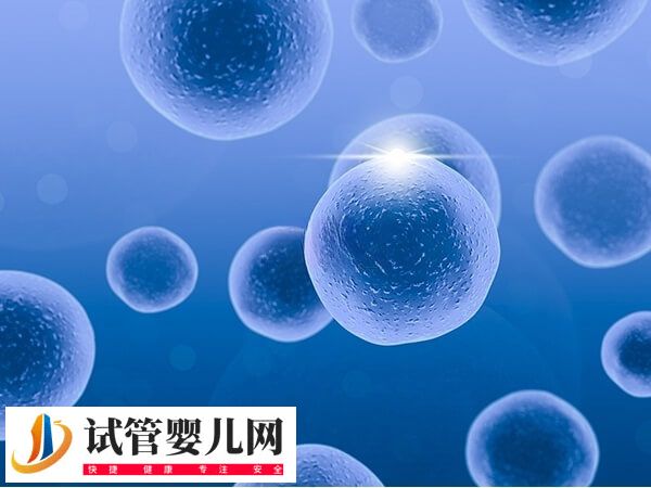 二胎移囊胚是一个还是2个好