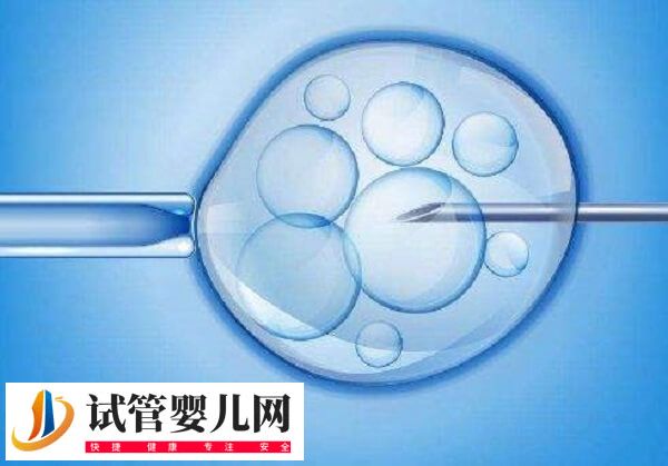 54岁试管婴儿龙凤胎在哪个医院