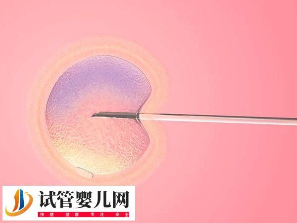 泰国试管婴儿包成功可不可信