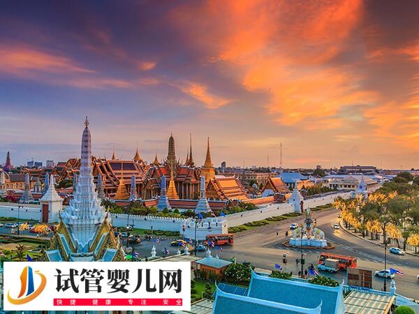 赴泰国做试管婴儿怎么规避风险