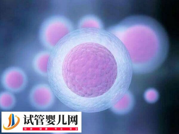 美国四代试管婴儿是什么技术