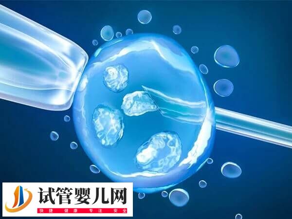 美国四代试管婴儿是什么技术(图2)