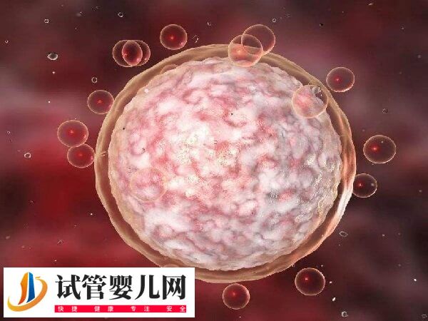 做试管婴儿要不要检测卵泡(图2)