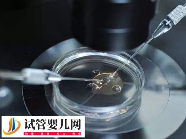 怀双胞胎有没有可能是两次同房(图1)