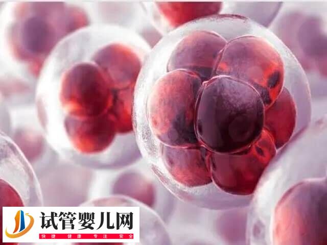 怀双胞胎有没有可能是两次同房(图2)