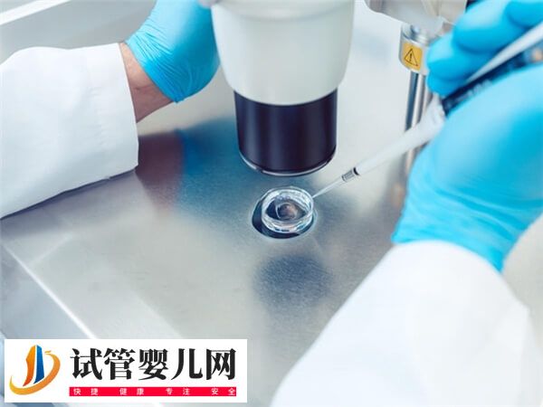 化疗后多久可以取卵(图1) 化疗后多久可以取卵(图1)