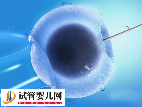 试管促排方案都适合哪些人(图3) 试管促排方案都适合哪些人(图3)