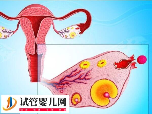 做一次促排卵要花多少钱(图1) 做一次促排卵要花多少钱(图1)