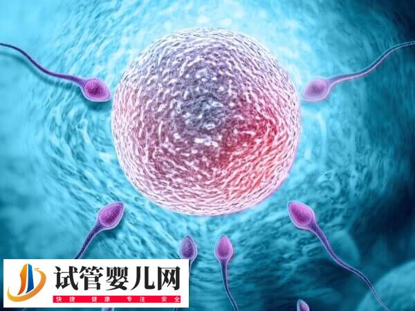 做一次促排卵要花多少钱(图2) 做一次促排卵要花多少钱(图2)