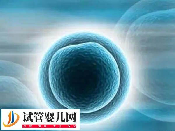 卵泡发育哪些阶段会出现闭锁(图1) 卵泡发育哪些阶段会出现闭锁(图1)