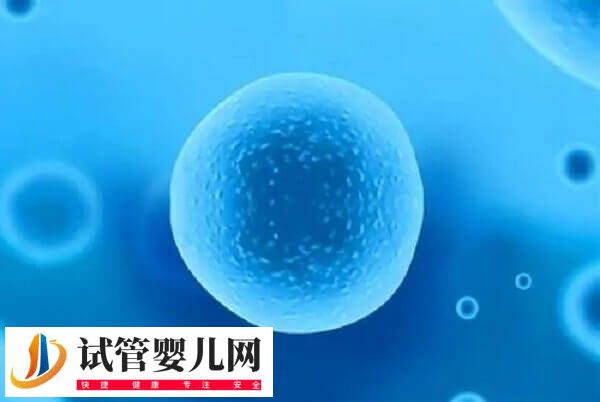 卵泡发育哪些阶段会出现闭锁(图3) 卵泡发育哪些阶段会出现闭锁(图3)