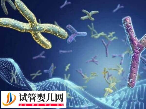 22号染色体异常会有哪些遗传病(图1) 22号染色体异常会有哪些遗传病(图1)