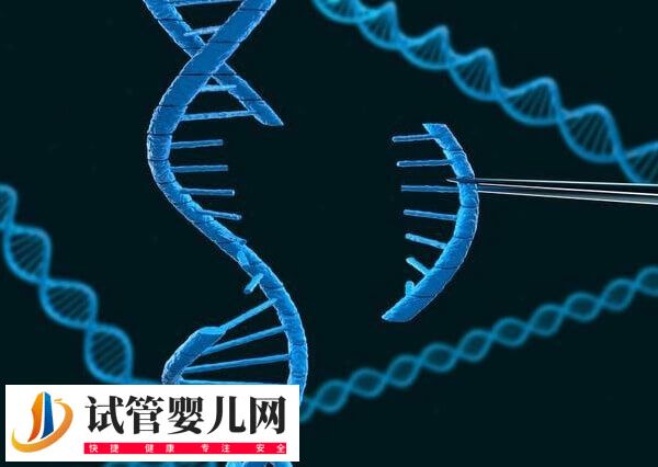 22号染色体异常会有哪些遗传病(图3) 22号染色体异常会有哪些遗传病(图3)