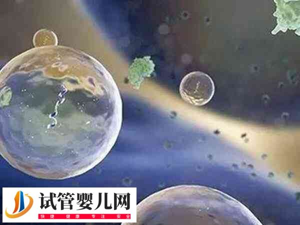 拮抗剂方案就一个卵泡是什么情况(图1)