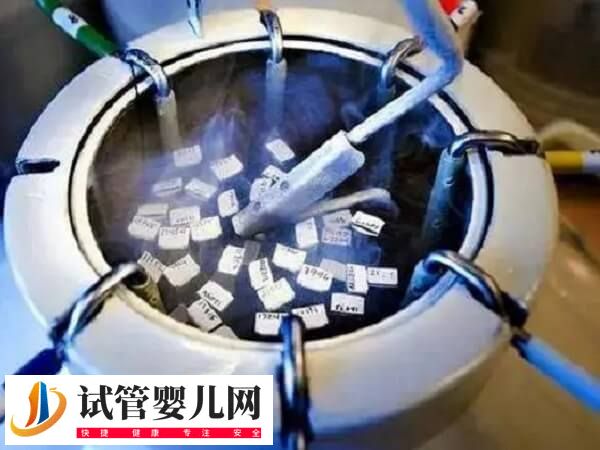胚胎冷冻后还能不能养囊(图1)