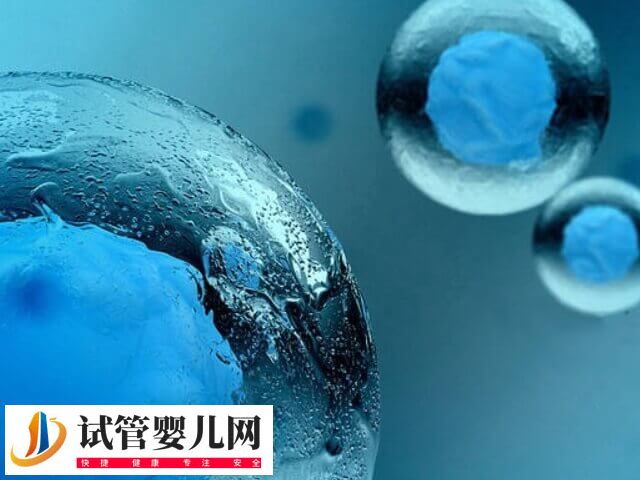 胚胎冷冻后还能不能养囊(图2)