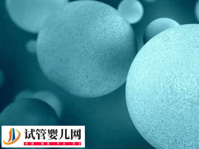 女性肾炎影不影响试管成功率(图1)