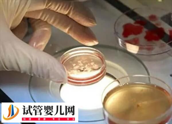 女性冷冻卵子后离婚了还能不能用(图2)