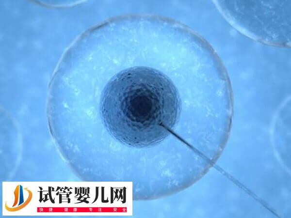 女性骨髓造精多少钱(图2) 女性骨髓造精多少钱(图2)