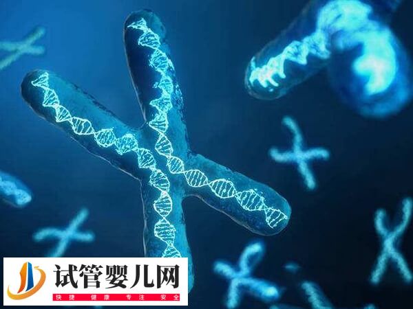 女性47三个X染色体能不能正常怀孕(图1)